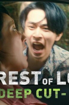 The Forest of Love Deep Cut