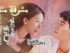 مسلسل Shining Like You الحلقة 14 مترجمة