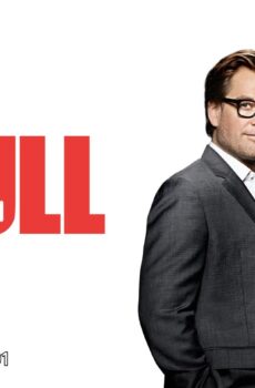 Bull
