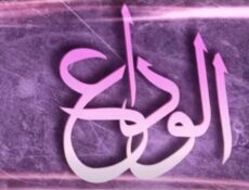 مسلسل الوداع الحلقة 12 الثانية عشر