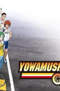 Yowamushi Pedal الموسم 2