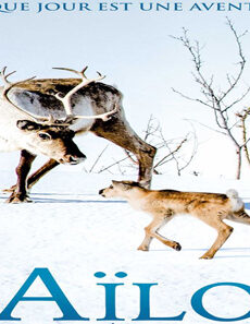 فيلم A Reindeers Journey 2018 مترجم