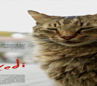 فيلم Kedi 2016 مترجم