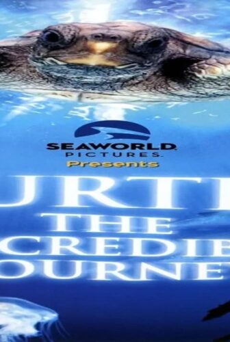 فيلم Turtle: The Incredible Journey 2009 مترجم