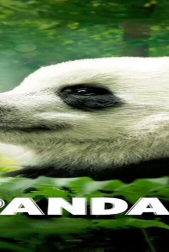 فيلم Pandas 2018 مترجم