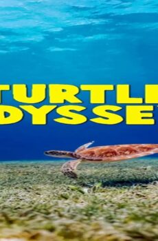 فيلم Turtle Odyssey 2018 مترجم