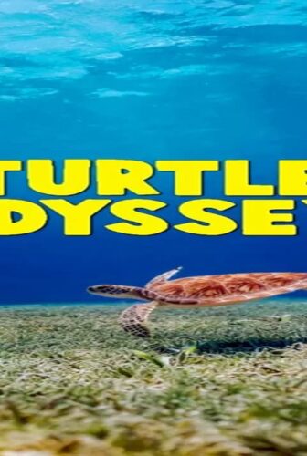 فيلم Turtle Odyssey 2018 مترجم
