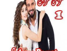 مسلسل العريس الرائع Şahane Damat الحلقة 1