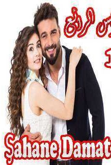 العريس الرائع Şahane Damat