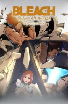 فيلم الانمي BLEACH: Thousand-Year Blood War – The Calamity 2026 مترجم