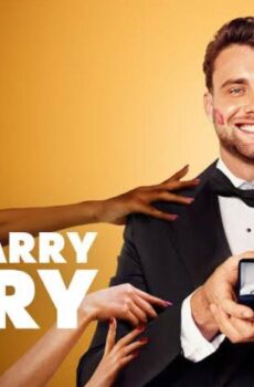 Let’s Marry Harry