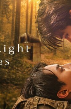 عندما يتلاشى الضوء When Light Fades
