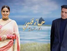 مسلسل حياة قلبي الموسم 7 الحلقة 33 مدبلجة