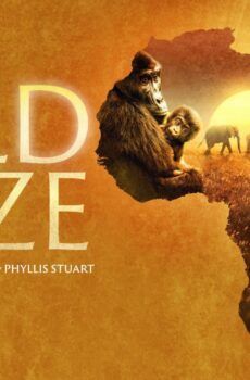 فيلم Wild Daze 2020 مترجم