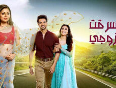 مسلسل سرقت زوجى الحلقة 37 السابعة والثلاثون مدبلج