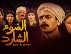 مسلسل الضوء الشارد الحلقة 25 الخامسة والعشرون