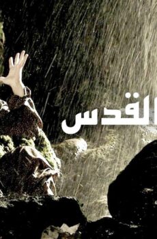 بوابة القدس