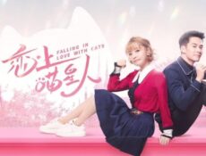 مسلسل Falling in Love With Cats الحلقة 12 مترجمة