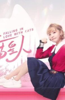 Falling in Love With Cats