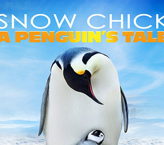 فيلم Snow Chick A Penguin S Tale 2015 مترجم