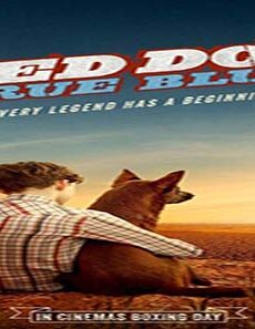 فيلم Red Dog True Blue 2016 مترجم