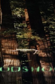 فيلم Woodshock 2017 مترجم