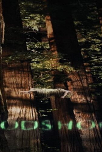 فيلم Woodshock 2017 مترجم