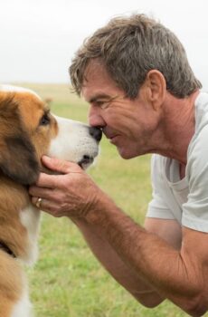 فيلم A Dog’s Purpose 2017 مترجم