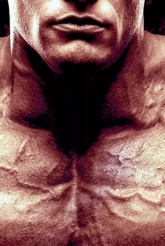 فيلم Generation Iron 3 2018 مترجم