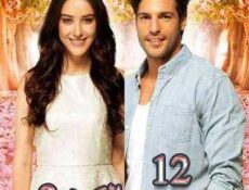 مسلسل موسم الكرز الموسم 2 الحلقة 12 مدبلجة
