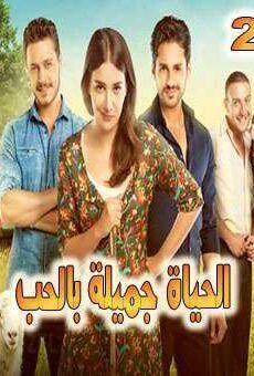الحياة جميلة بالحبHayat Sevince Güzel