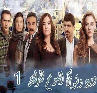 ورد وشوك الموسم 4