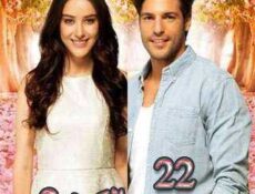 مسلسل موسم الكرز الموسم 2 الحلقة 22 مدبلجة