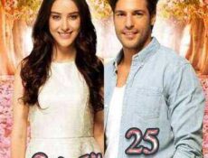 مسلسل موسم الكرز الموسم 2 الحلقة 25 مدبلجة