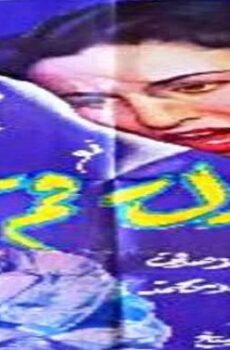 فيلم المنزل رقم 13