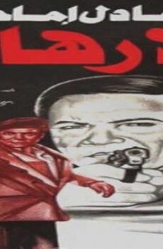 فيلم الإرهابي