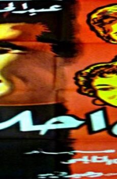 فيلم فتى أحلامى