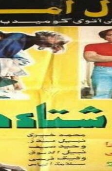 فيلم ليلة شتاء دافئة