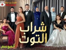 مسلسل شراب التوت الموسم 4 الحلقة 11 مدبلجة