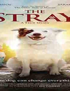 فيلم The Stray 2017 مترجم