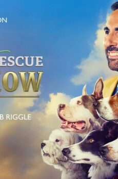 فيلم American Rescue Dog Show 2022 مترجم