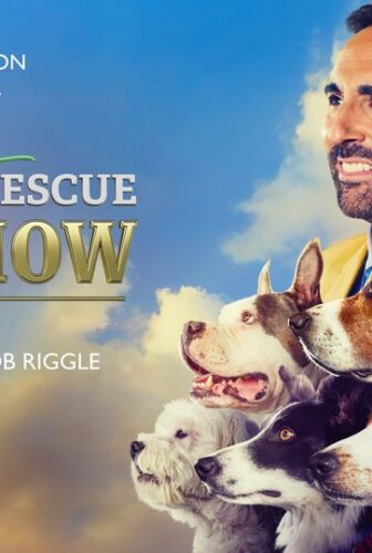 فيلم American Rescue Dog Show 2022 مترجم