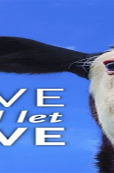 فيلم Live and Let Live 2013 مترجم