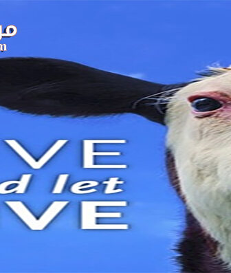 فيلم Live and Let Live 2013 مترجم