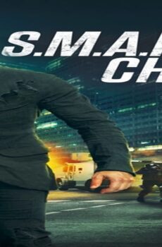 فيلم The Shanghai Job 2017 مترجم