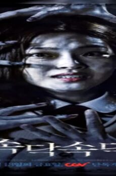 فيلم Sodak Sodak 2018 مترجم