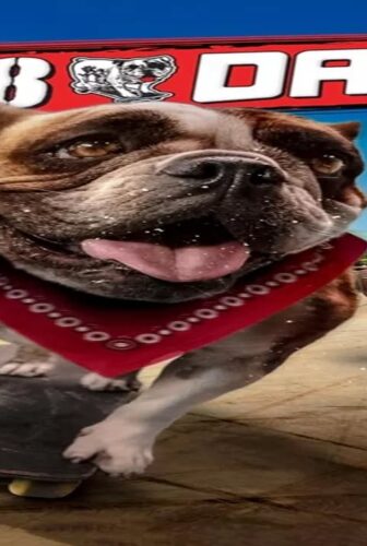 فيلم Sk8 Dawg 2018 مترجم