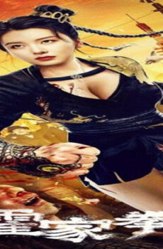 فيلم The Queen of Kung Fu 3 2022 مترجم