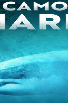 فيلم Camo Sharks 2022 مترجم