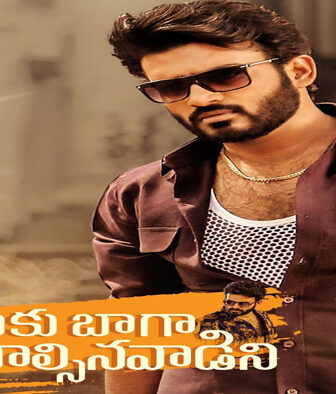 فيلم Nenu Meeku Baaga Kavalsinavaadini 2022 مترجم